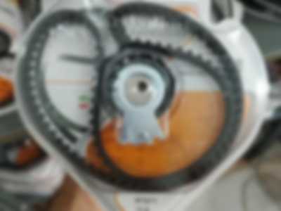 نمایندگی تسمه رایکالتون در کرج و تهران