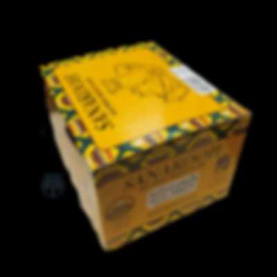 واتر پمپ نیسان وانت